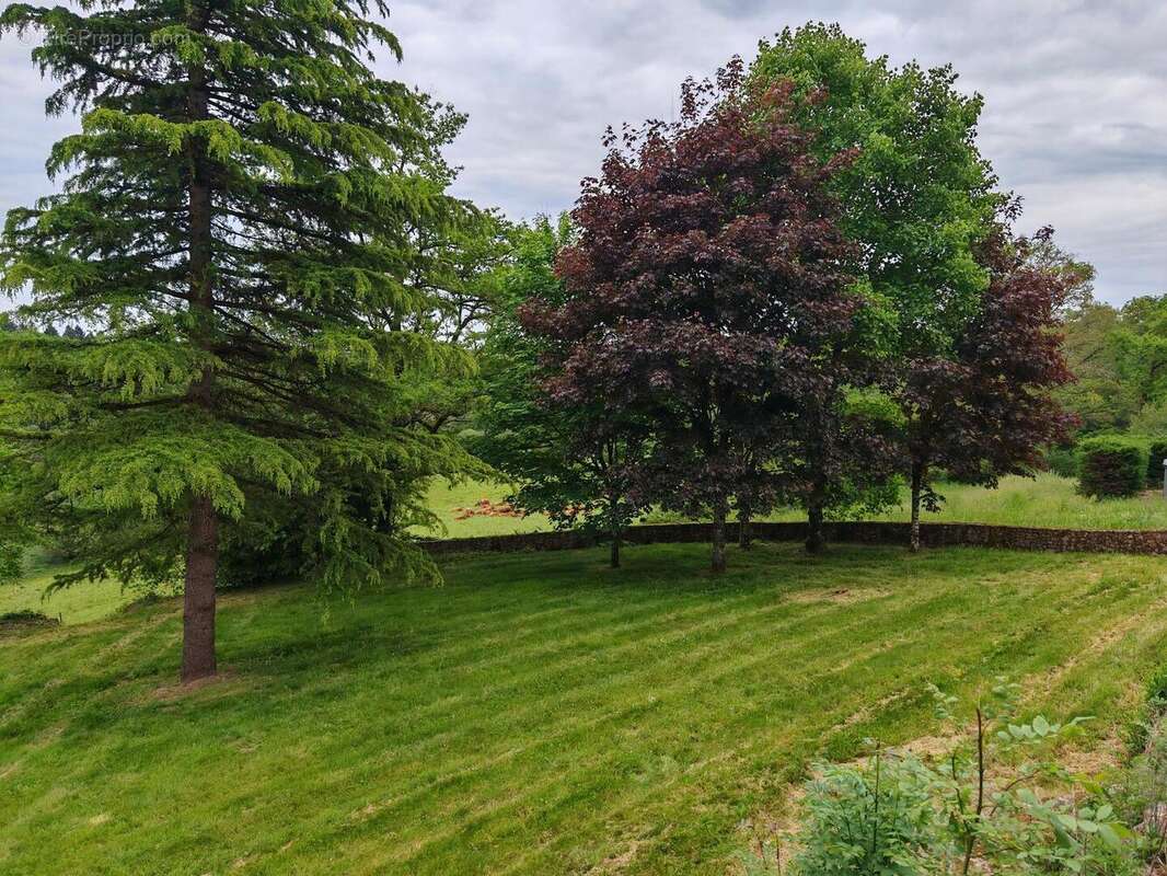 IMG20250507162806 - Maison à PIEGUT-PLUVIERS