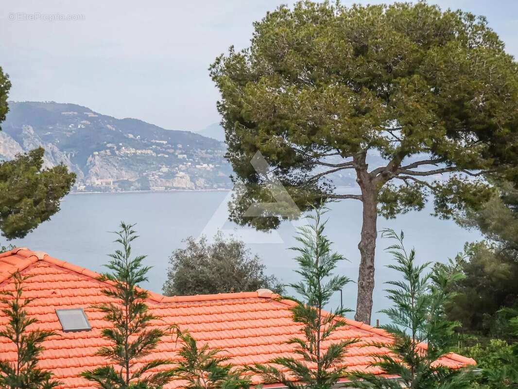 Cap martin - villa contemporaine - secteur prisé - photo 3