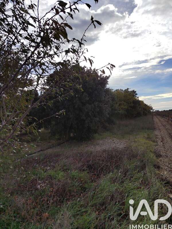Photo 6 - Terrain à CAIRANNE