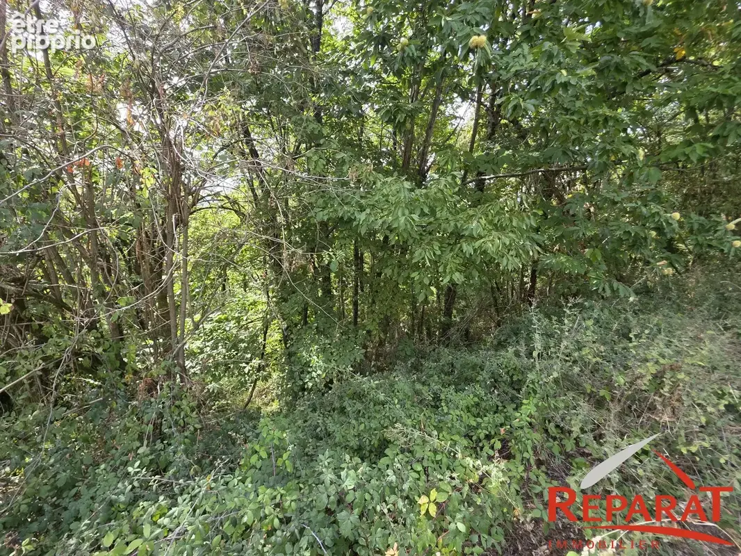 Terrain 800 m² à vendre à Vignols (19130) - photo 3