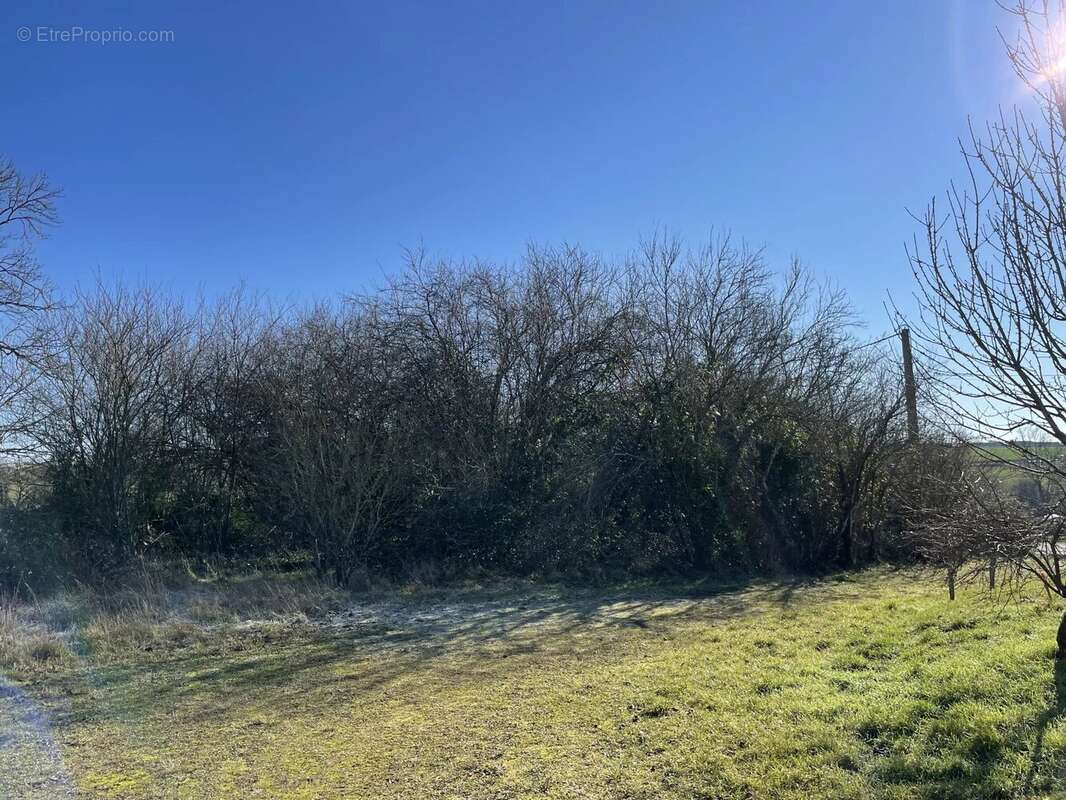 Terrain à VERTEILLAC