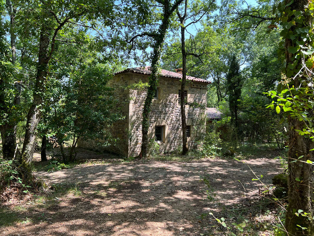 Maison Saint Antonin Noble Val, pleine nature piscine, dépendance ... - photo 12