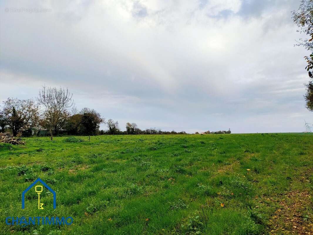 Terrain à SAINTE-HERMINE