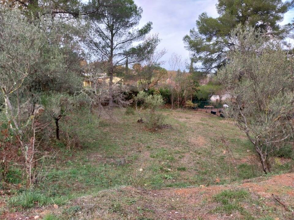 Terrain à SALERNES