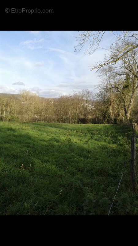 Orval : terrain de 2100m2 à vendre 23000 € - photo 3