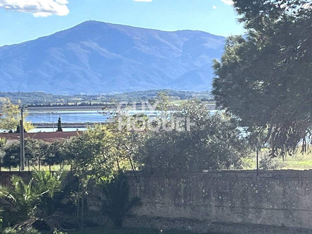 Terrain à VILLENEUVE-DE-LA-RAHO