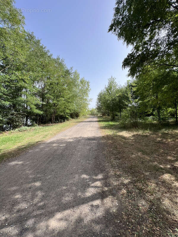 Terrain à COURS-LES-BARRES