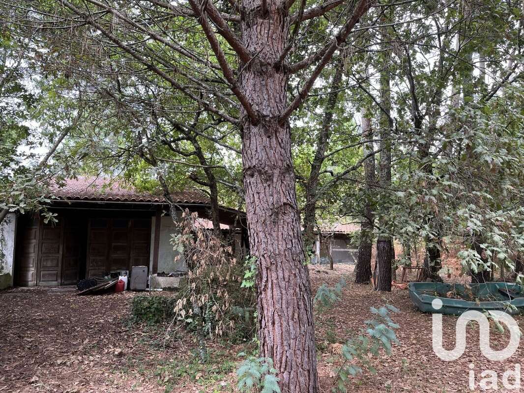 Photo 2 - Terrain à ANDERNOS-LES-BAINS