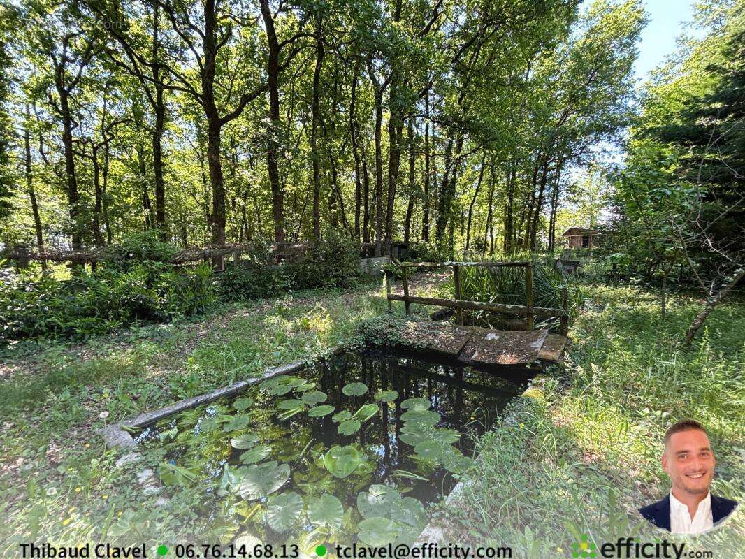 Terrain à BARBEZIEUX-SAINT-HILAIRE