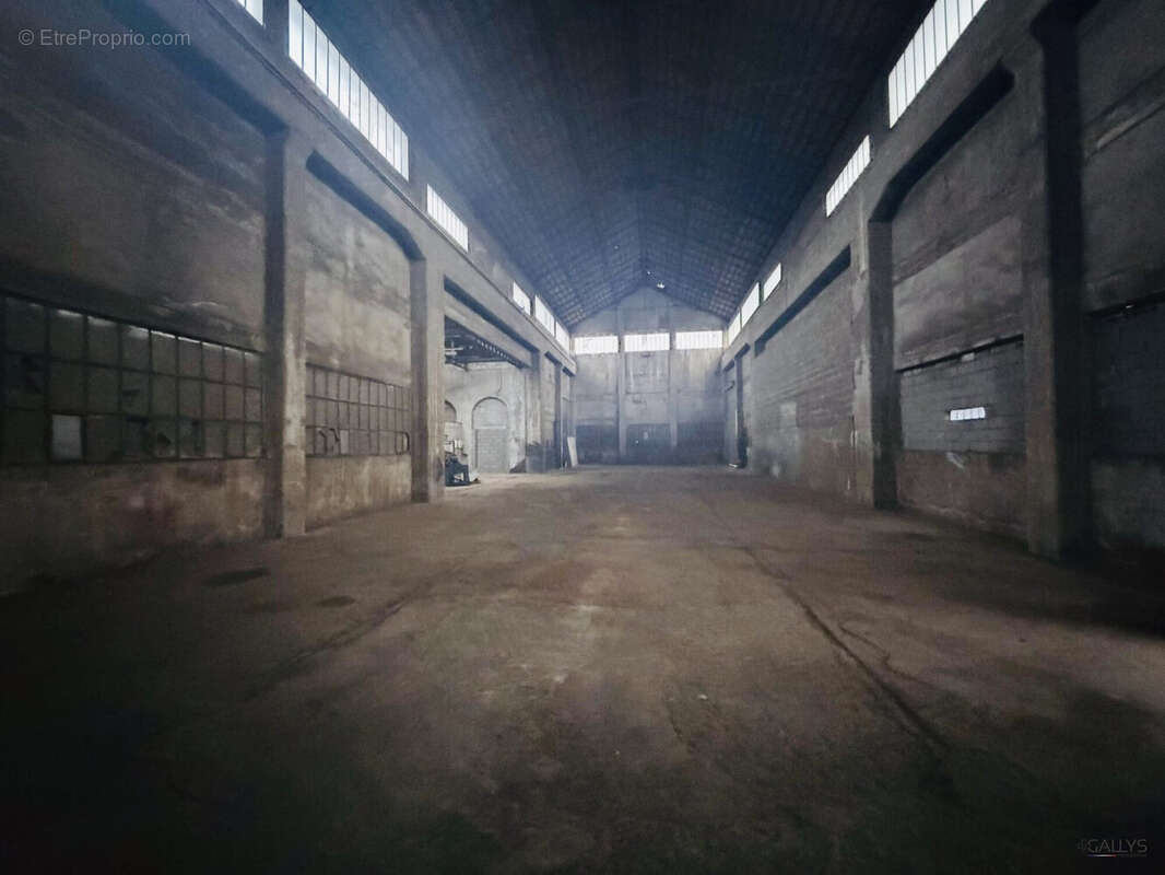 Commerce à TUCQUEGNIEUX