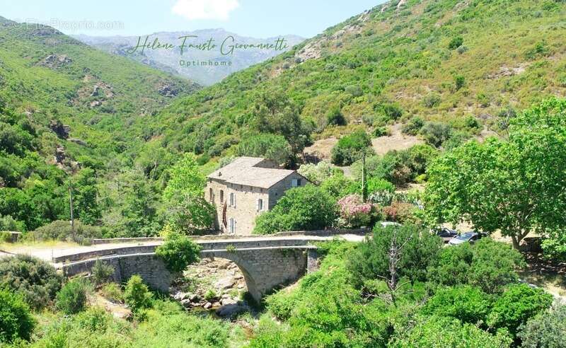 Ancien Moulin en Pierre avec dépendances sur près de 2,3 hectares – Santo-Pietro-di-Tenda - photo 44