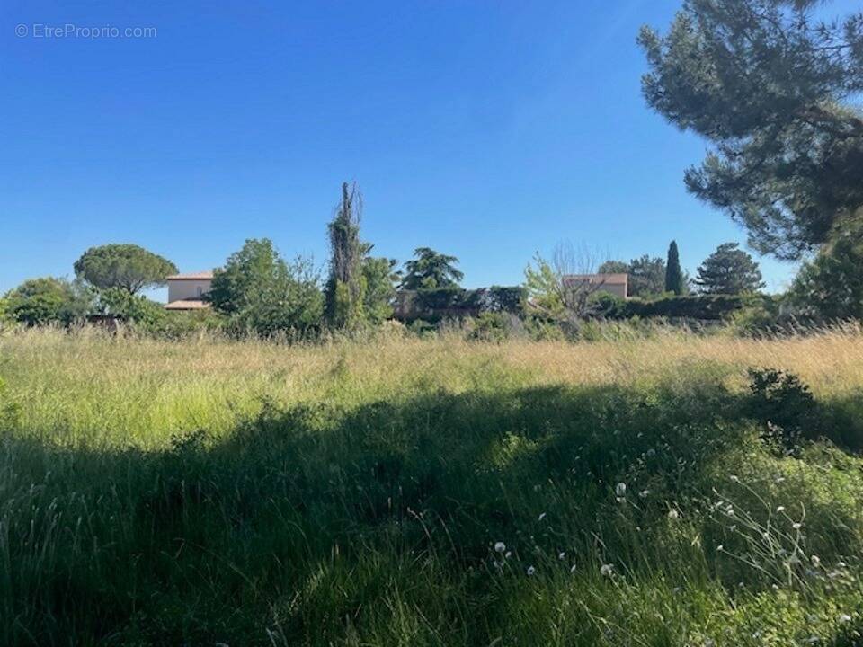 Terrain à PELISSANNE