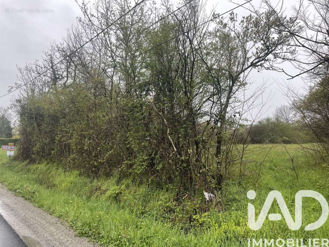 Photo 3 - Terrain à LE BLANC