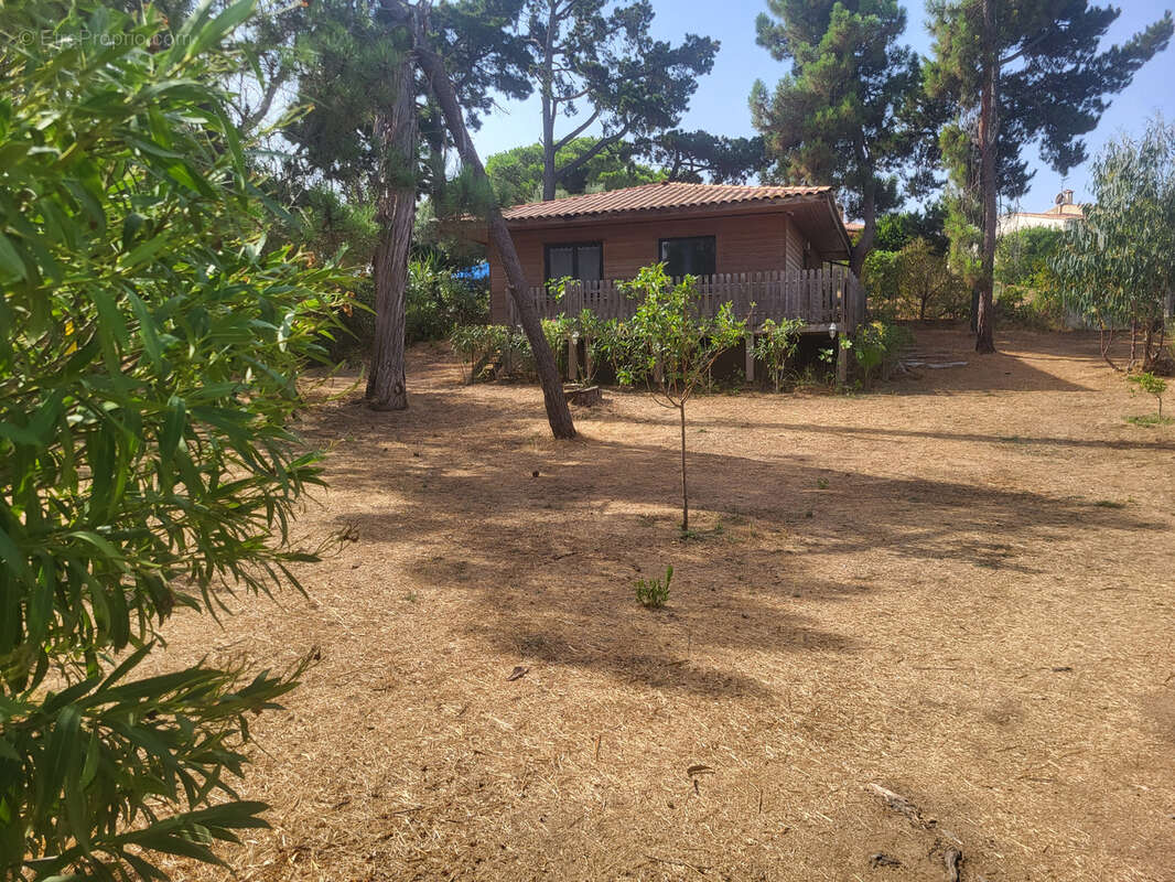 Maison à PIETROSELLA