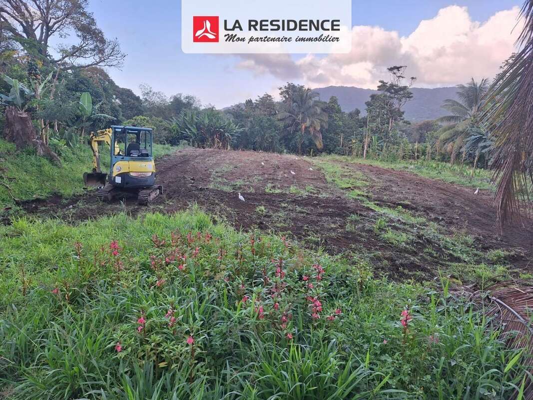Terrain à LE MORNE-ROUGE