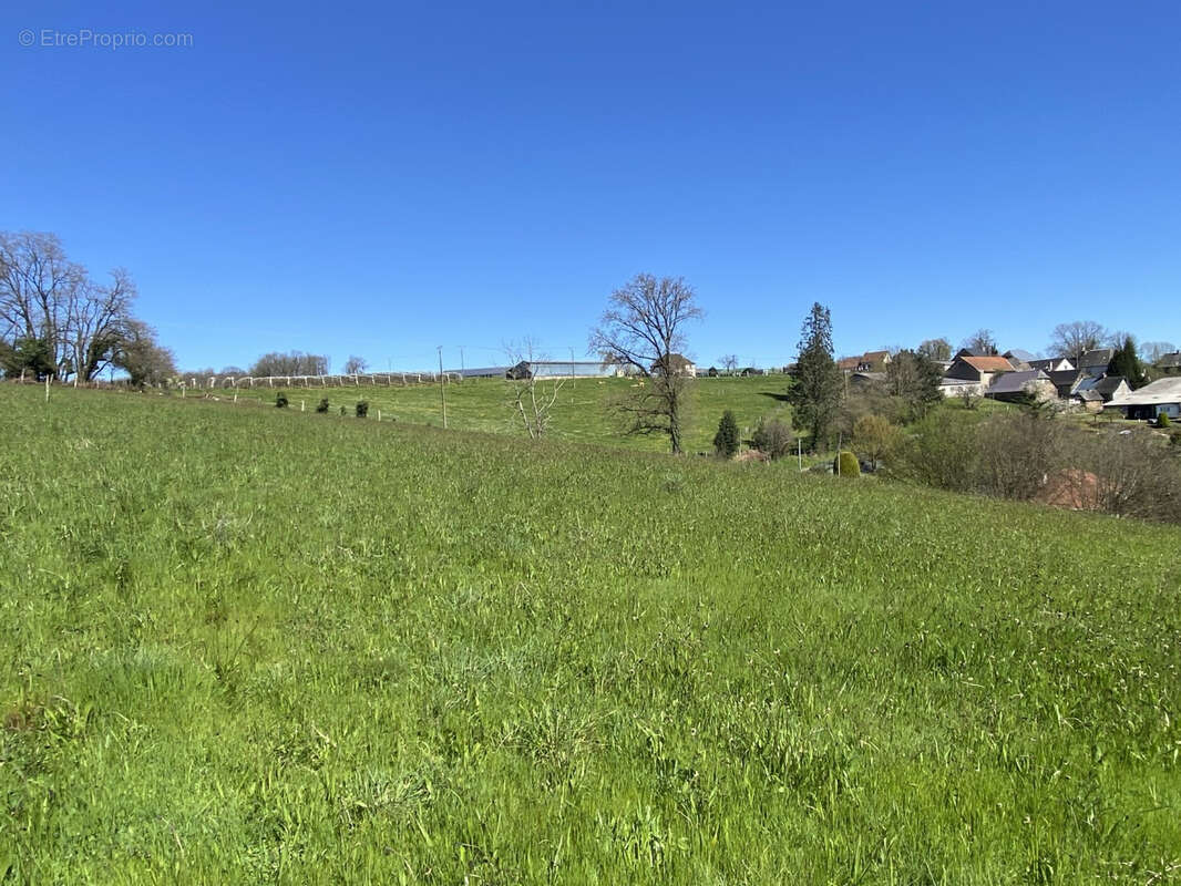 Terrain à CHABRIGNAC