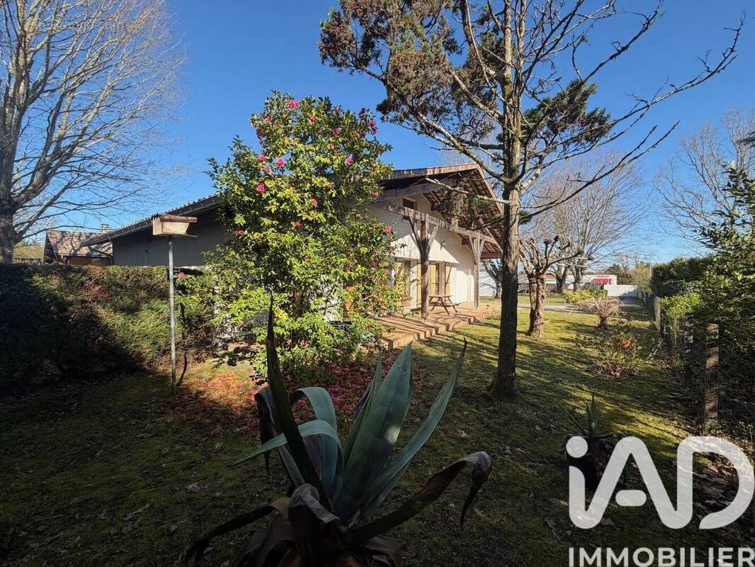 Photo 1 - Maison à CESTAS