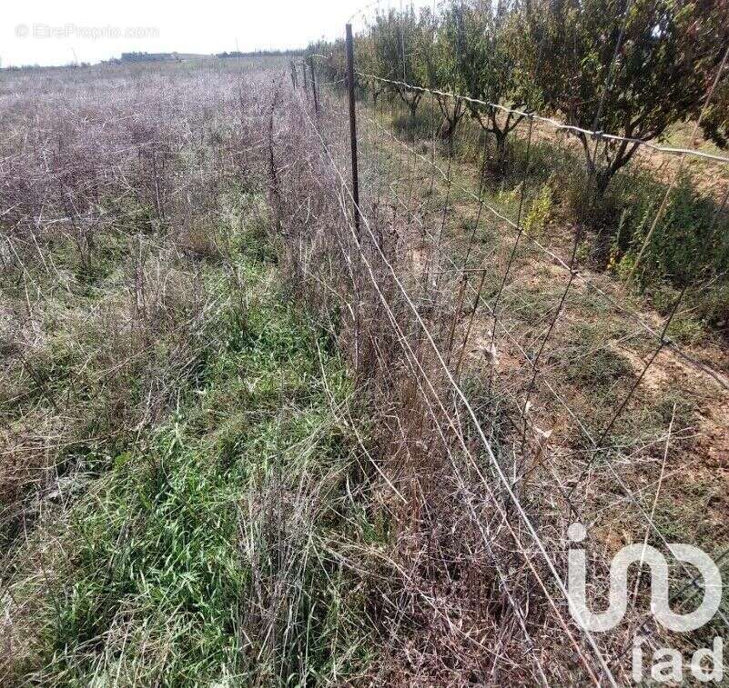 Photo 5 - Terrain à GENERAC