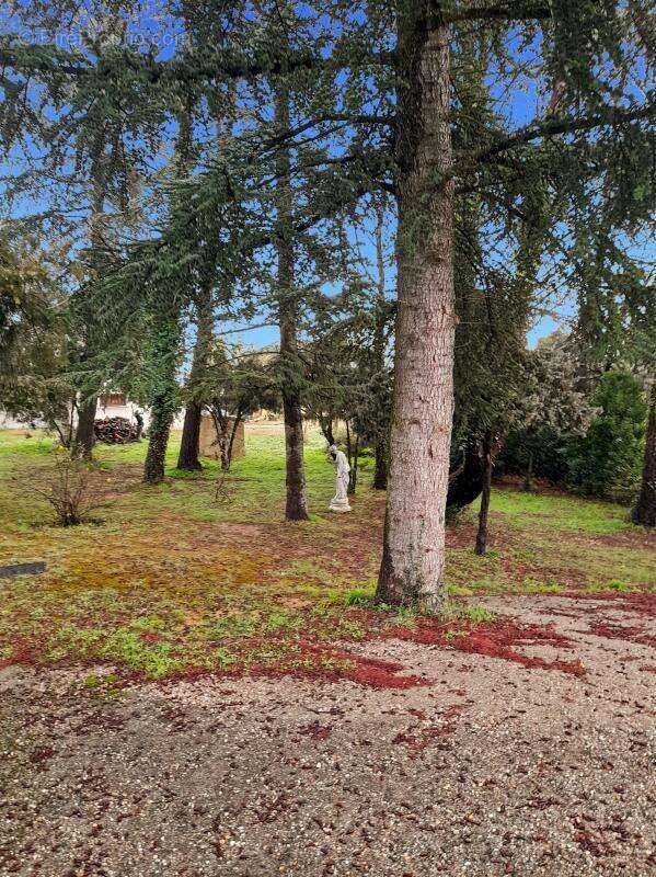 Maison à SAINT-MICHEL-D&#039;EUZET