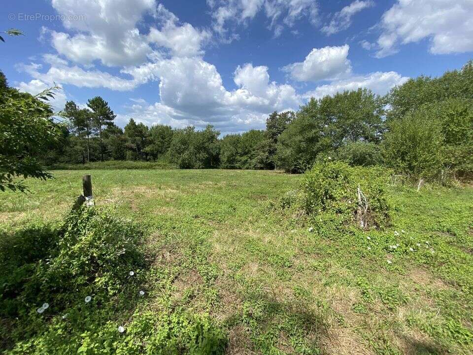 MAISON Type T5 de 188 m2 avec dépendance proche de Barbotan - photo 19