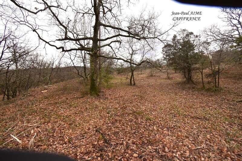 Terrain à SALAZAC