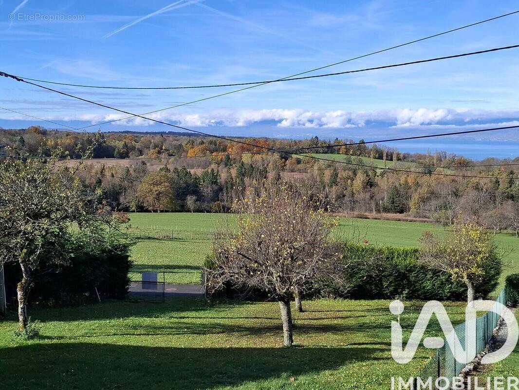 Photo 1 - Terrain à SAINT-PAUL-EN-CHABLAIS