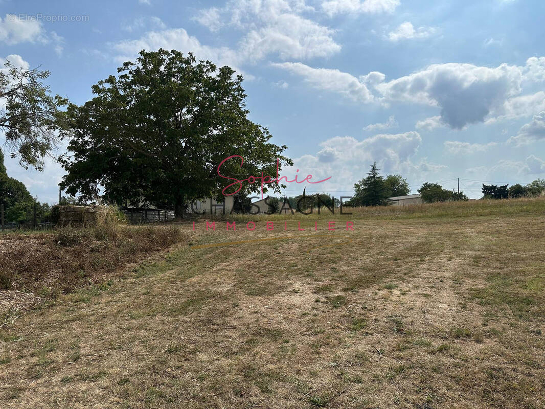 Terrain à RAUZAN