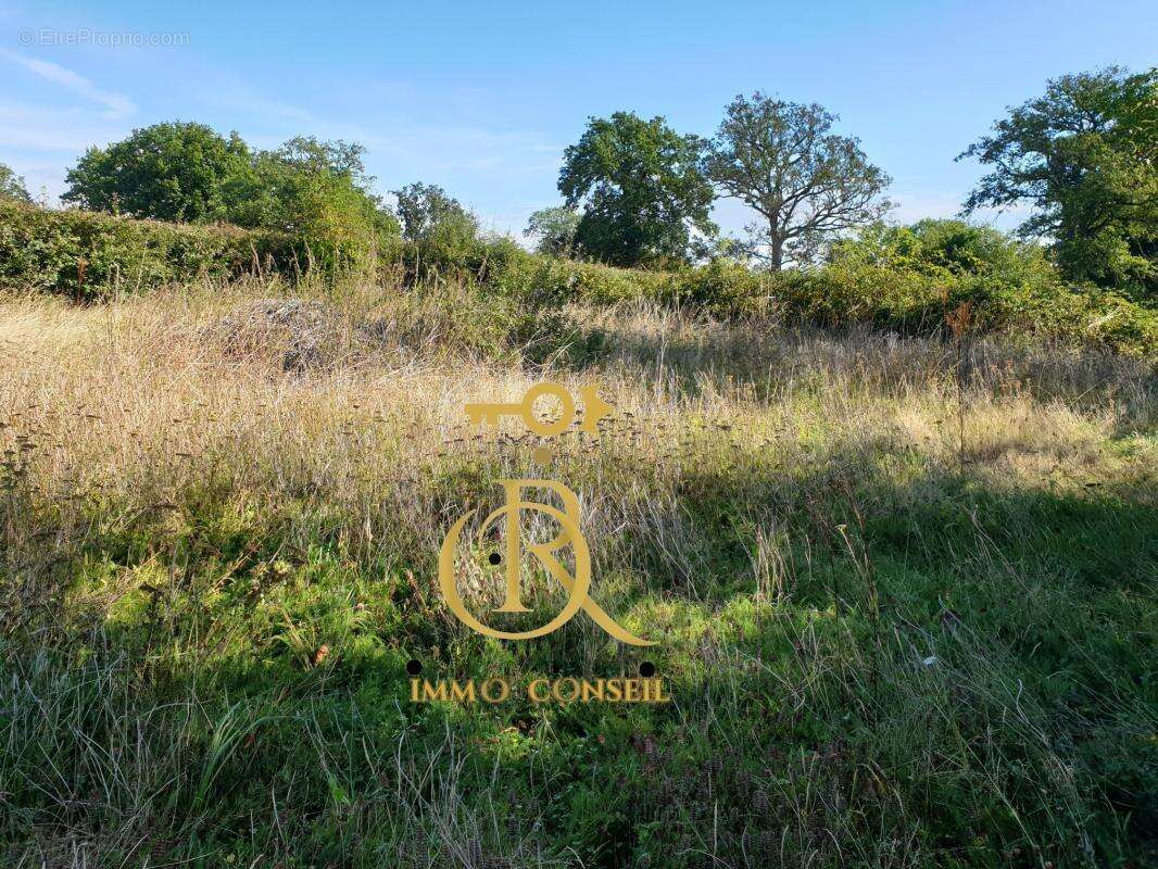 Maison à DURDAT-LAREQUILLE