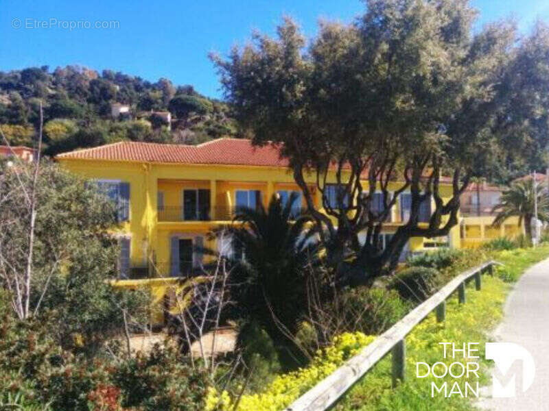 Commerce à LE LAVANDOU