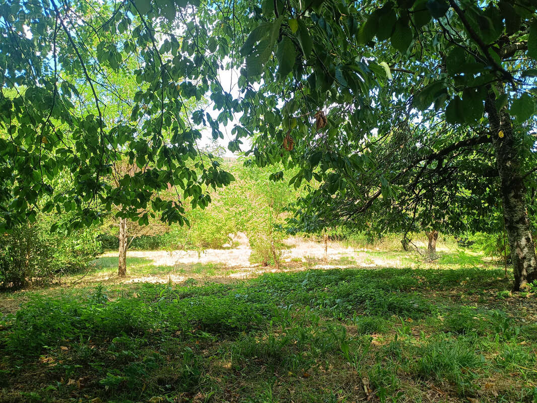 Terrain à TOULOUSE
