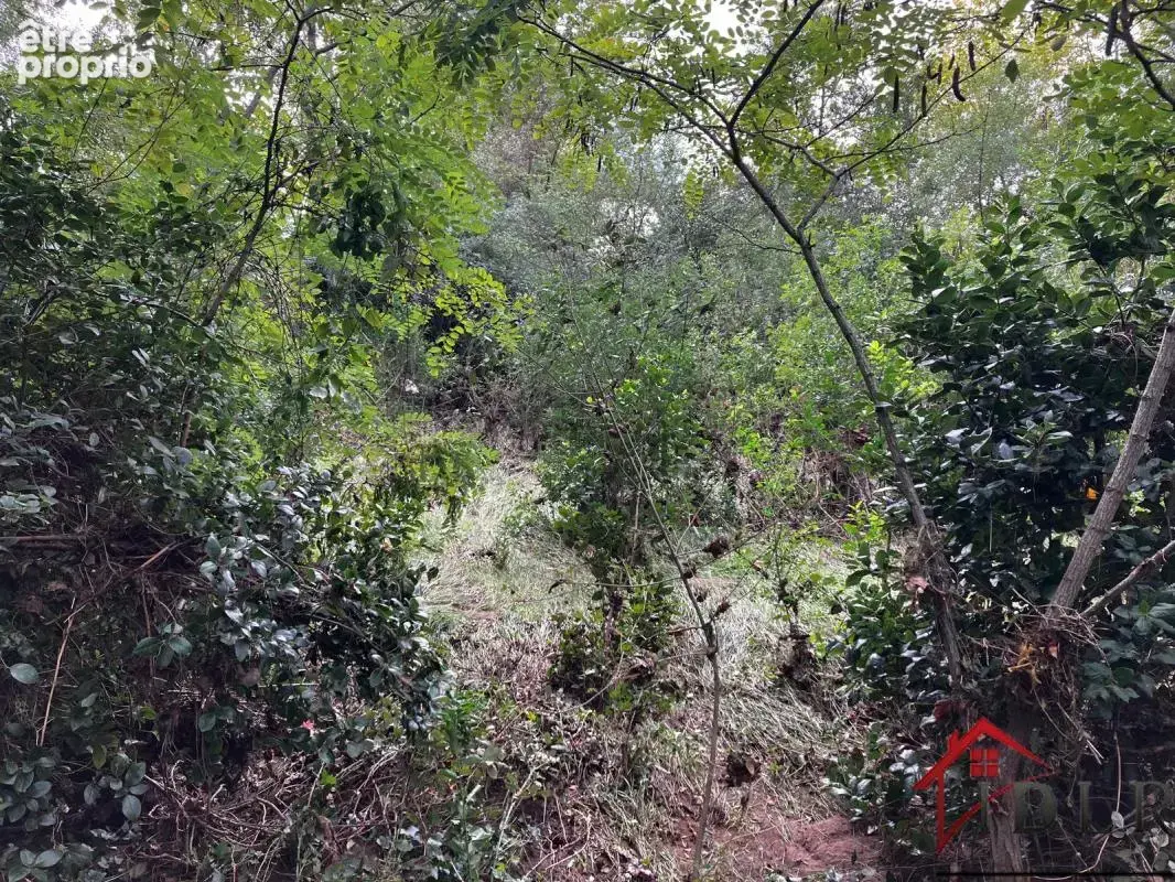 Terrain 800m2 - photo 4