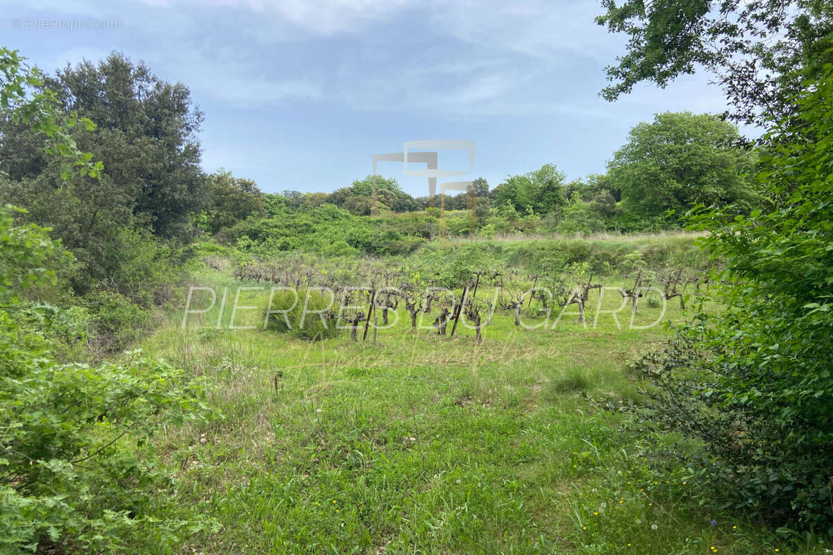 Terrain à LE PIN
