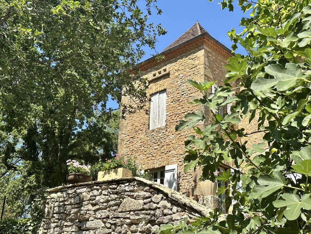 Propriété de caractère avec gîte indépendant et piscine à proximité de Saint-Cyprien - photo 2