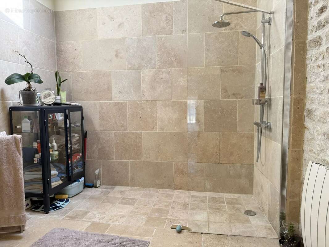 Propriété avec 1 ou 2 gites et piscine - photo 7