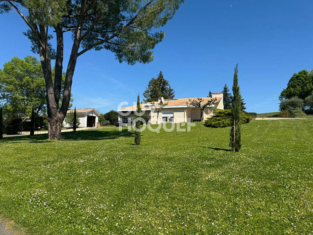 Maison d'architecte avec piscine et parc - photo 9