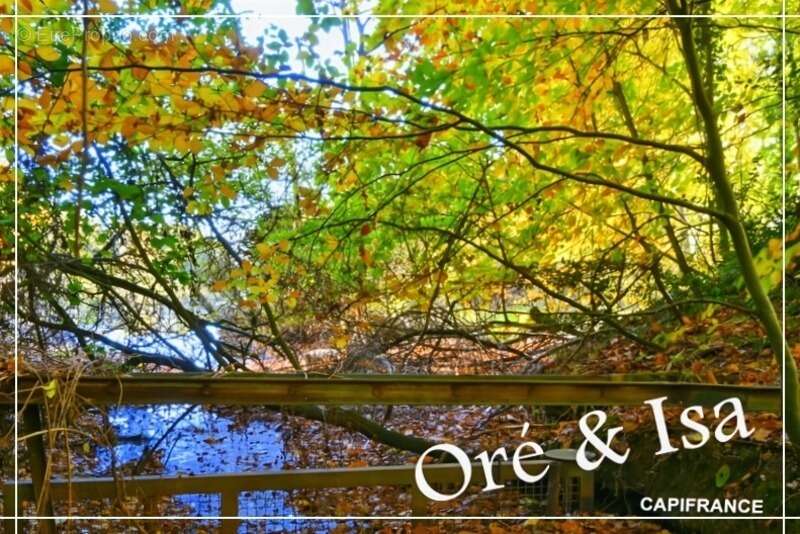 Terrain à SAINT-DESIRE