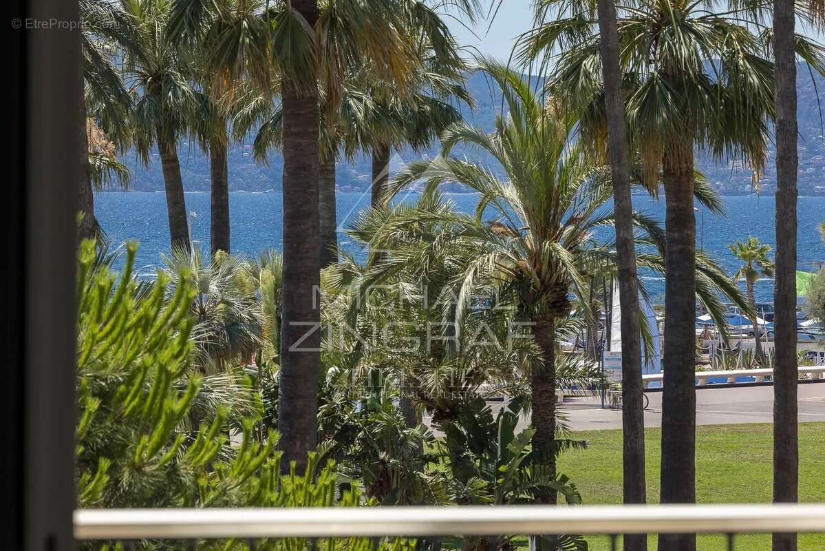 Cannes - Croisette - Élégant 4 pièces avec terrasse - photo 15
