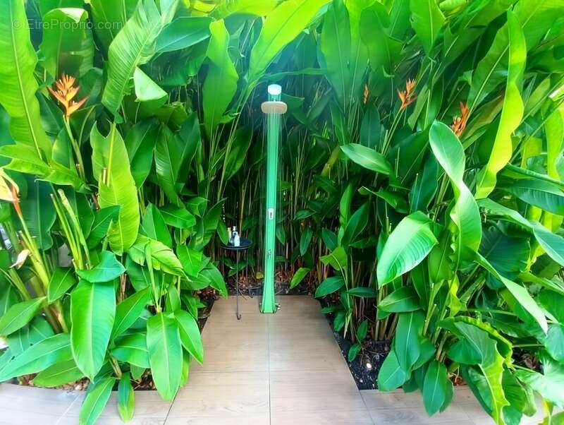 Maison à SAINT-FRANCOIS