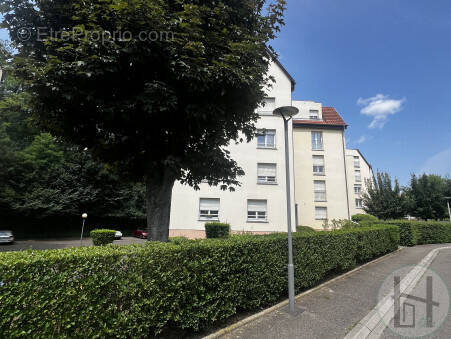 Appartement à ECKBOLSHEIM