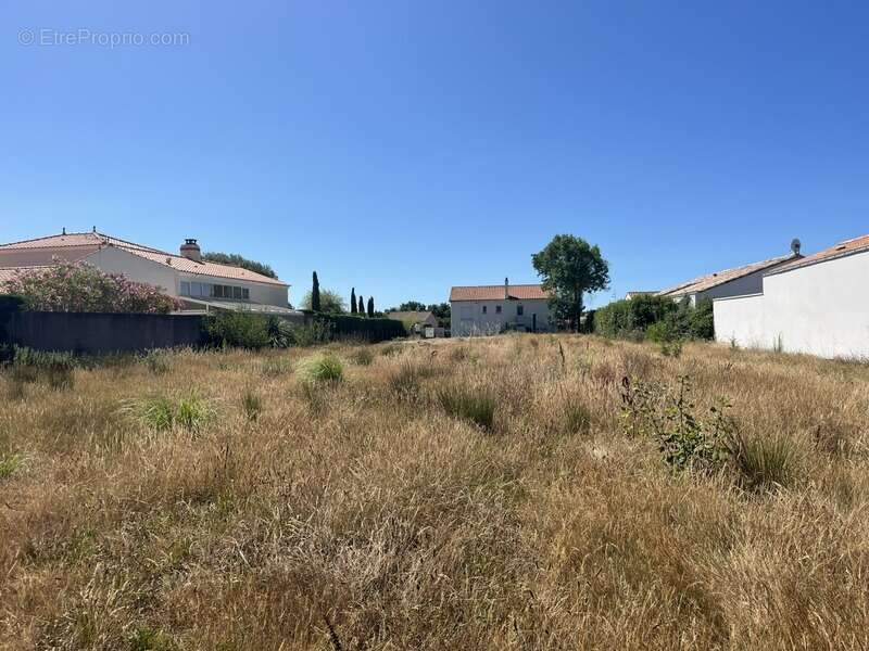 Terrain à bâtir de 1 077m² au Fenouiller – Façade plein sud de 22 m – À 5 minutes des plages - photo 2