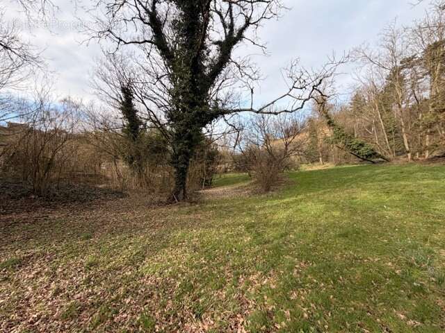 Terrain à SATHONAY-CAMP