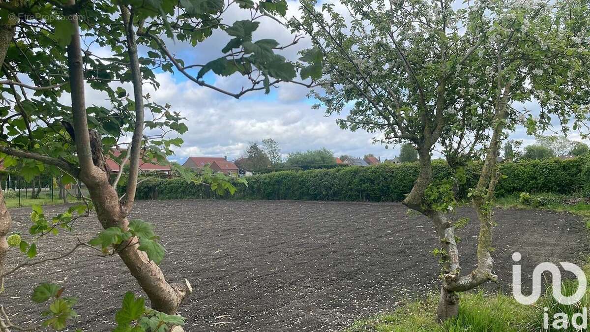 Photo 2 - Terrain à LOOBERGHE