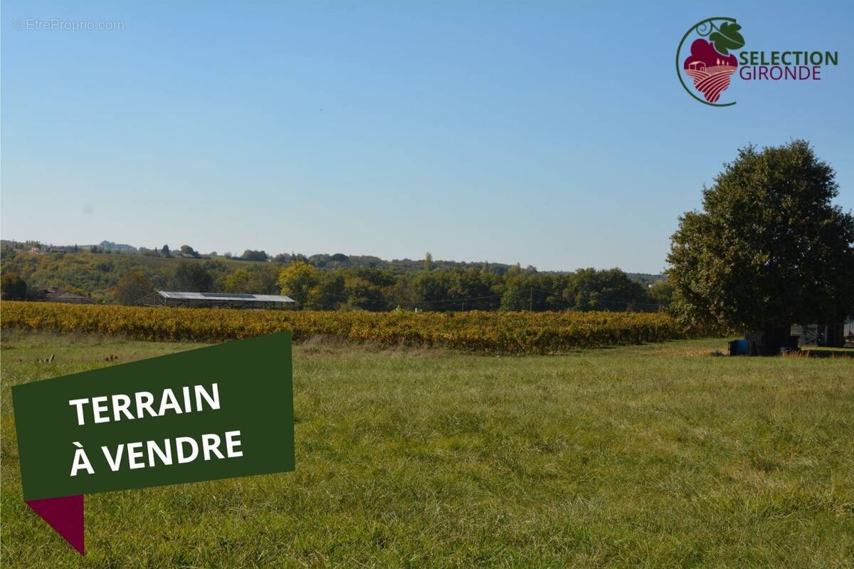 Terrain à PELLEGRUE