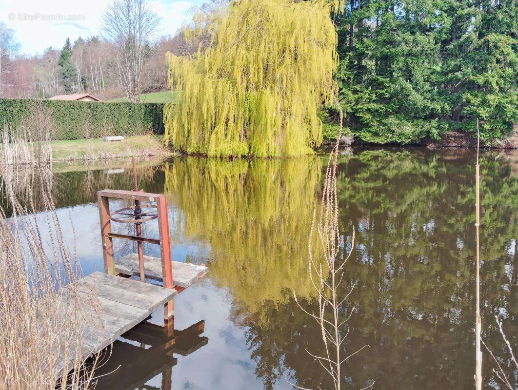 Maison à AUGEROLLES
