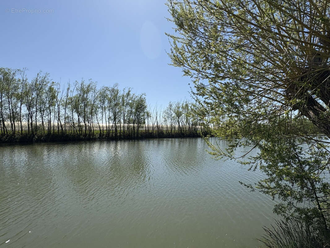 Maison à L'ILE-D'ELLE