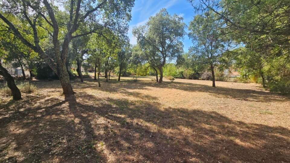 Terrain à LE CANNET-DES-MAURES