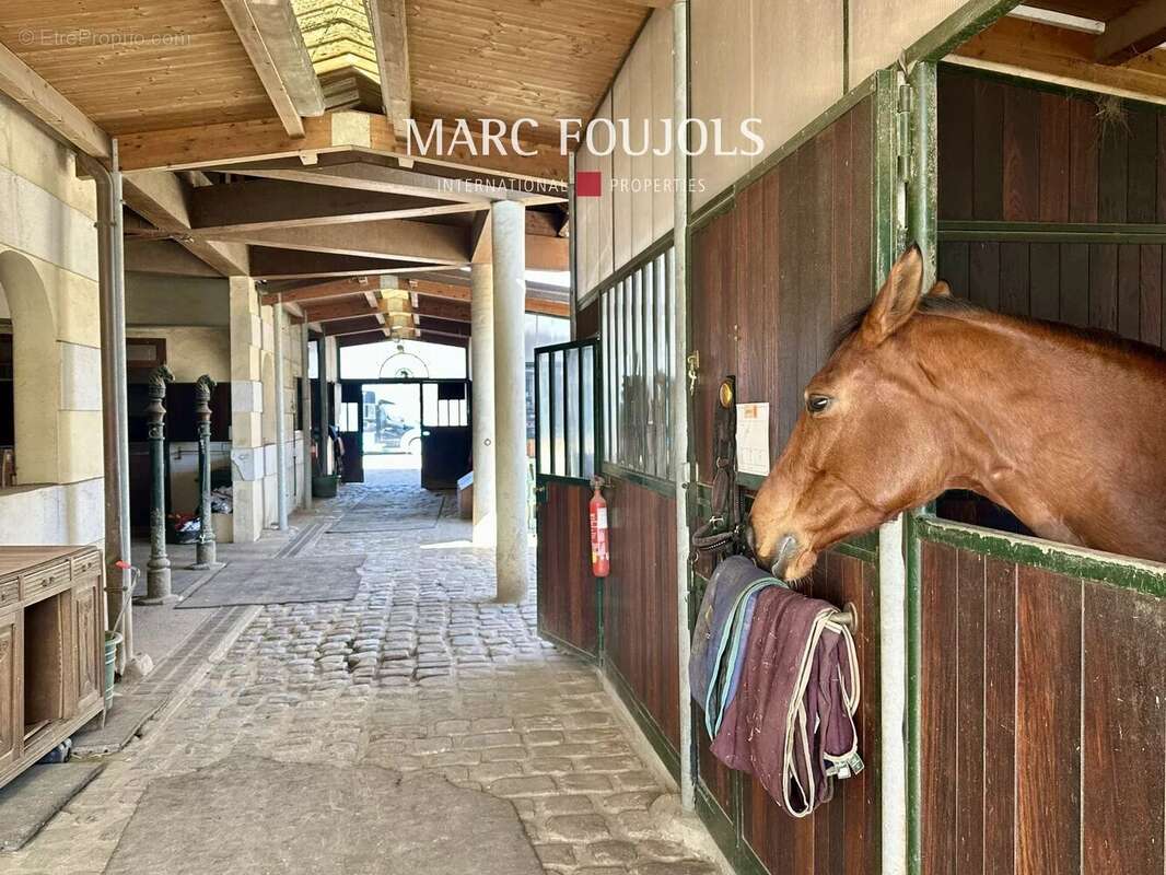 Élégante Propriété Équestre proche Barbizon - photo 31