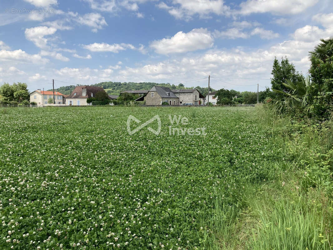 Terrain à POEY-DE-LESCAR