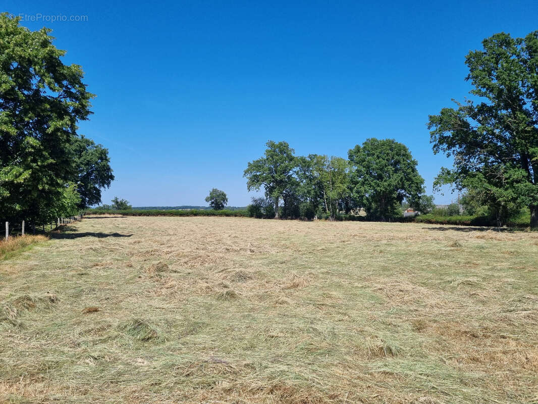 Maison de campagne sur 9 778 m2 de terrain ! - photo 19