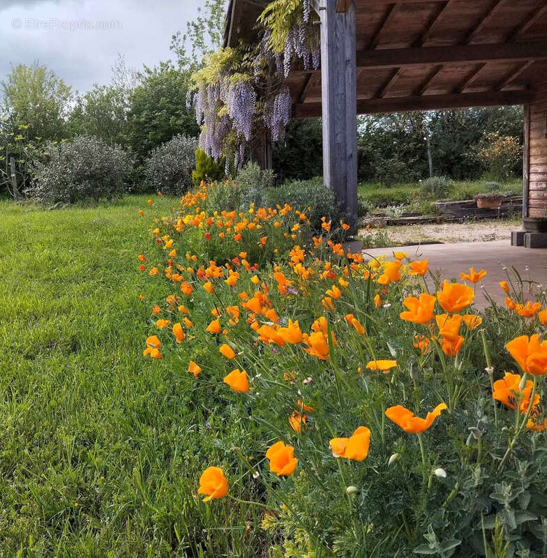 Propriété de 2.5ha avec Maison rénovée, dépendances, Vue Pyrénées - photo 32